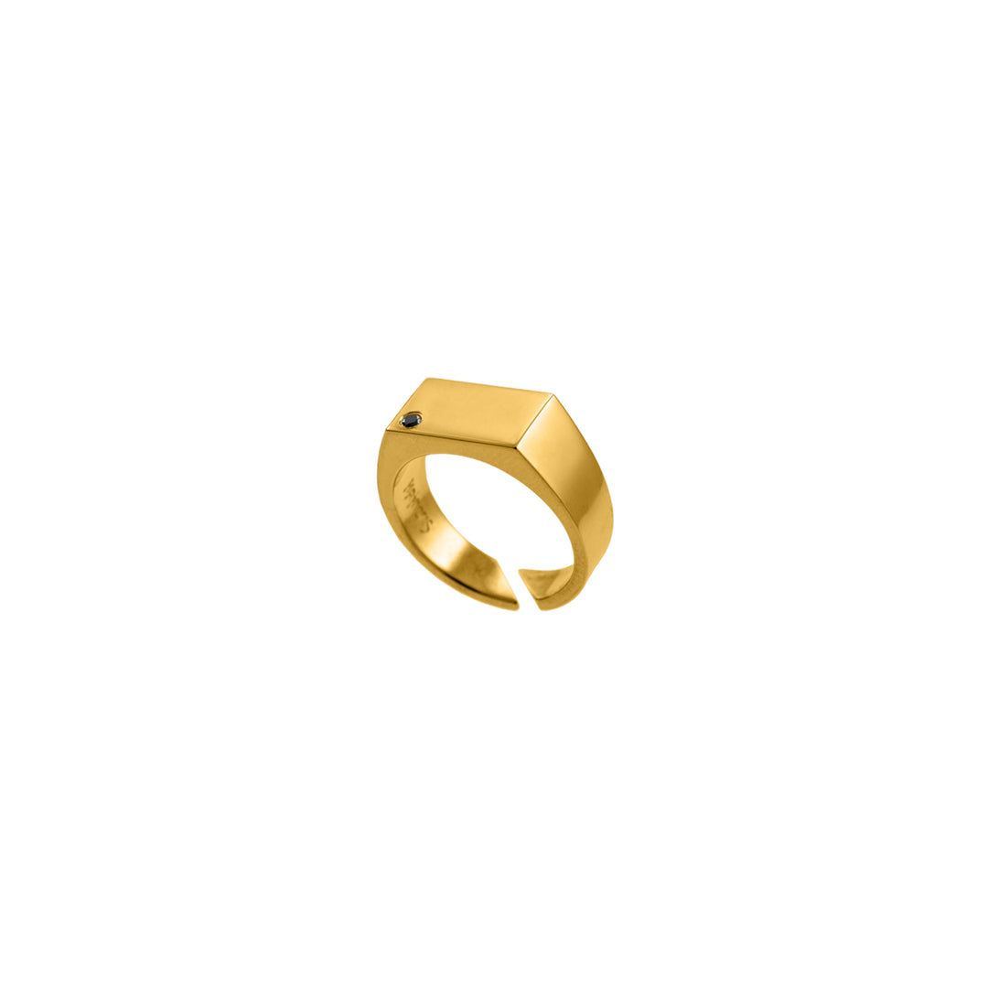 Dot Ring in Solid Gold