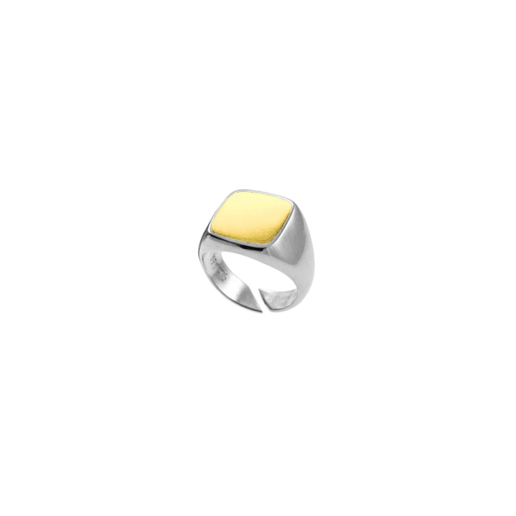 Wisdom ring in Yellow Gold and Sterling Silver